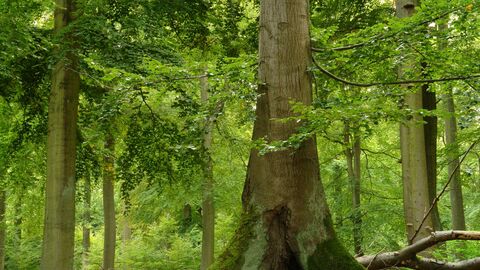 Blick in den Nationalpark