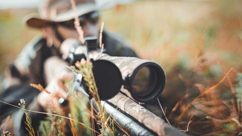 Jagd Jagd