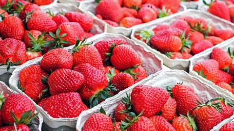 Erdbeeren Erdbeeren