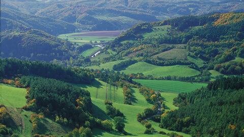Das grüne Werratal mit Wiesen und Bergen.