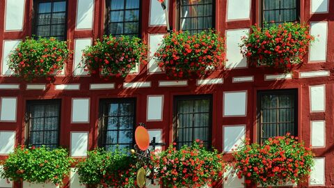 Eine Fassade eines Fachwerkshaus mit Blumenkästen.