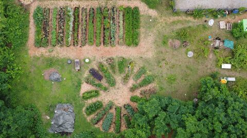 Angelegtes Beet zu sehen von oben.