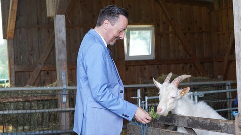 Umweltstaatssekretär Oliver Conz füttert eine Weiße Deutsche Edelziege in ihrem Stall