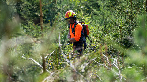Forstarbeiter im Wald