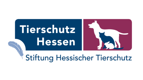 Blau violettes Logo. Auf der linken Seiten ein Schriftzug mit Tierschutz Hessen auf der rechten Seite Piktogramme eines Hundes und einer Katze.