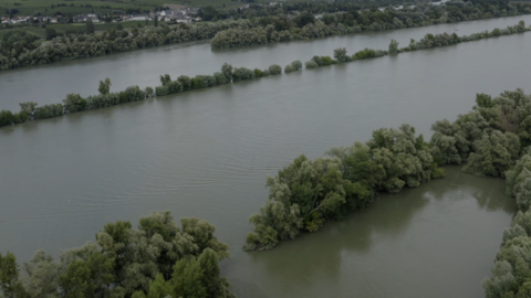 Hochwassermanagement Hochwasser am Rhein aus der Vogelperspektive