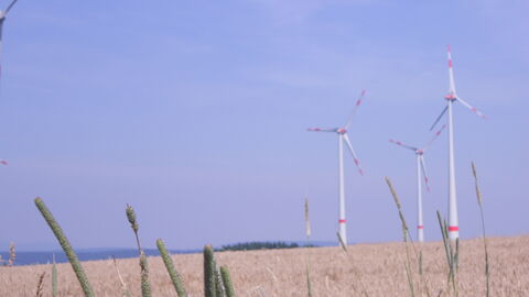 Windräder auf einem Feld