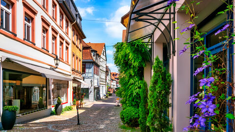 Begrünung im Dorf Eine Fußgängerzone in einem Dorf