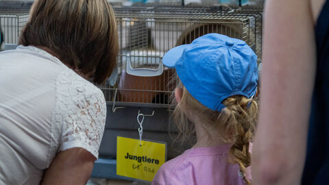 Ministerin und Mädchen betrachten die Feldhamster Jungtiere im Aufzuchtkäfig