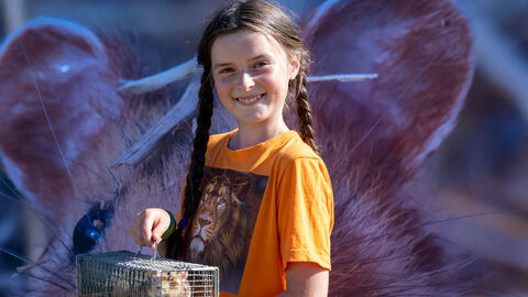 Ein Mädchen hält einen Käfig mit einem Feldhamstet