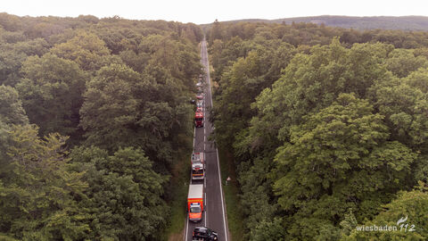 Feuerwehrautos stehen auf einer Straße im Wald