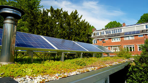 Eine Photovoltaikanlage steht auf einem begrünten Hausdach