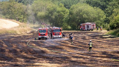 Feuerwehrleute stehen auf einem abgebrannten Feld