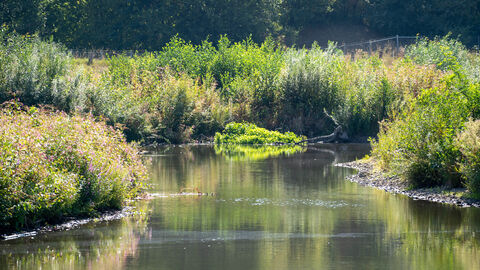 Blick auf ein Gewässer