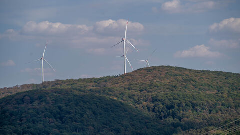 Windenergieanlagen auf einer bewaldeten Kuppe