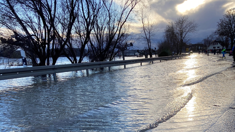 Hochwasser am Rhein Hochwasser am Rhein