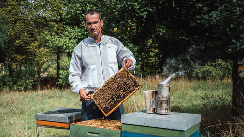 Imkerei Gunterbunt Ein Mann hält eine Bienenwabe