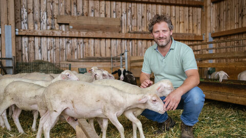 Kapellenhof Ein Mann hockt in einem Stall. Um ihn herum stehen mehrere Lämmer