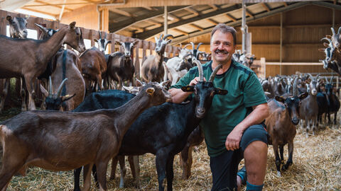 Odenwälder Biokäserei Ein Mann hockt im Stall. Neben ihn eine Herde Ziegen.
