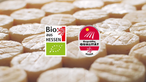 Zwei Logos im Vordergrund. Im Hintergrund sind leicht unscharf kleine Käselaibe zu sehen.