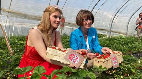 Zwei Frauen sitzen in einem Erdbeerfeld