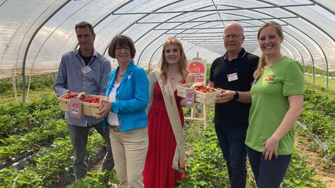 Fünf Personen stehen in einem Erdbeertunnel