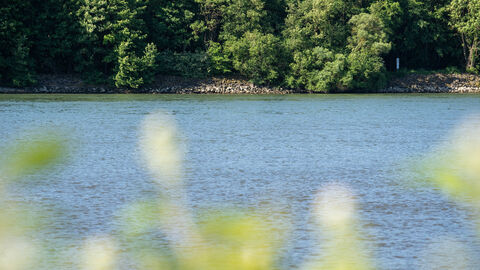 Blick auf einen Fluss