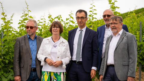 Eine Frau und vier Männer stehen vor einem Weinberg