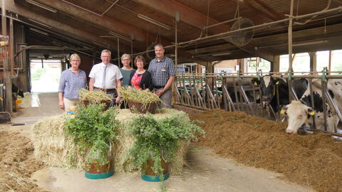 Vier Personen stehen in einem Kuhstall. Vor Ihnen liegen kleine Srohballen