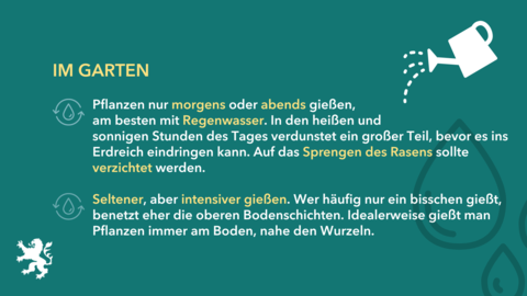 Wasserspartipps im Garten