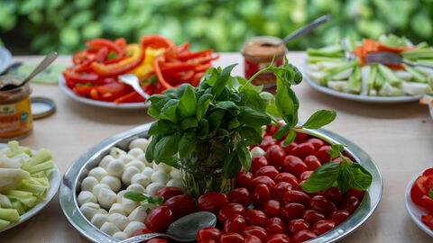 Gesunde Ernährung kleine Tomaten und Mozzarella liegen auf einem Teller
