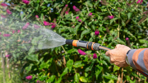 Eine Hand hält einen Schlauch und bewässert den Garten