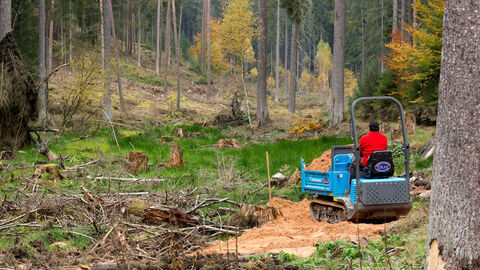 Grabenverfüllung Blick in einen Wald. Rechts im Bild sitzt ein Mann auf einem maschinellen Fahrzeug.