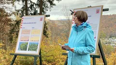 Eine Frau steht vor zwei Schautafeln und hält eine Rede