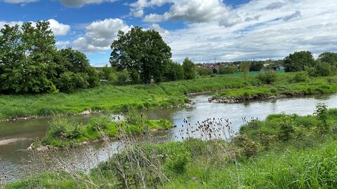 Renaturierter Bachlauf