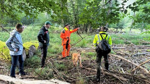 Die Hundeführer Uwe Deißler (Mitte) und Ralf Hofmeister erklären Staatsminister Ingmar Jung (2.v.r.) und Landrat Thomas Will  (l.) das Vorgehen.