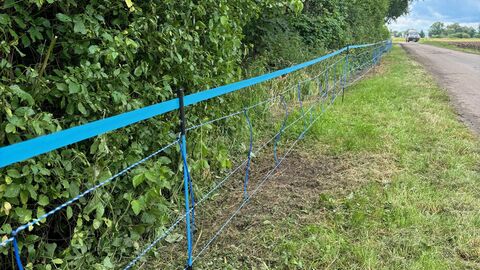 Ein Elektrozaun an einem Waldrand.