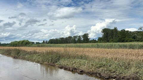 Ein Feld mit Hochwasser.
