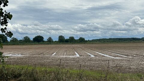 Ein Feld, auf dem weiterhin Wasser steht. 