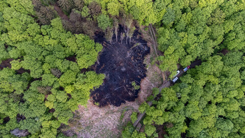 Ein gelöschter Brand im Wald (Symbolbild).