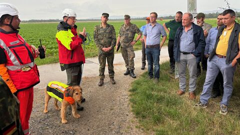 Hundeführer erklären, wie die Suche mit Kadaversuchhunden funktioniert.