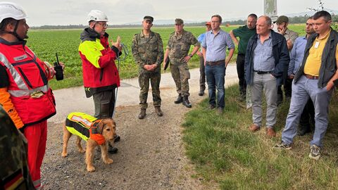 Hundeführer erklären, wie die Suche mit Kadaversuchhunden funktioniert.