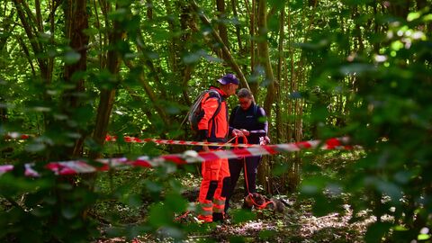 Seit Juni kämpft Hessen gegen die Afrikanische Schweinepest.