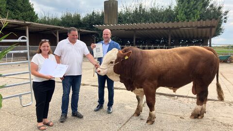 Ingmar Jung übergibt Familie Walther den Staatsehrenpreis für Rinderzucht. Daneben steht ein Rind.