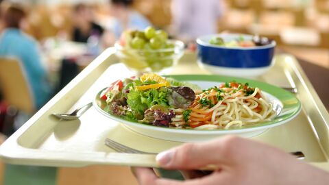 Menü in der Mensa Schulmensa Essen Auf einem Tablett sind drei Schalen mit Obst, Salat und Spaghetti