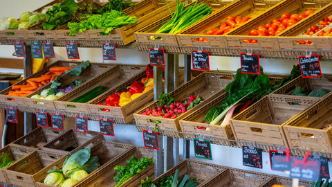 Frisches Obst und Gemüse landen am häufigsten im Mülleimer. Frisches Obst und Gemüse landen am häufigsten im Mülleimer.