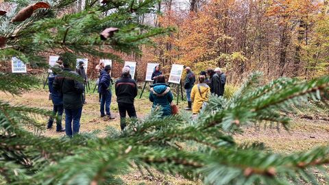Vorstellung des Waldzustandsberichts 2024 im Forstamt Wiesbaden-Chausseehaus.