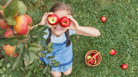 Ein Mädchen sitzt auf einer Wiese neben einem Apfelbaum und hält sich Äpfel vor die Augen