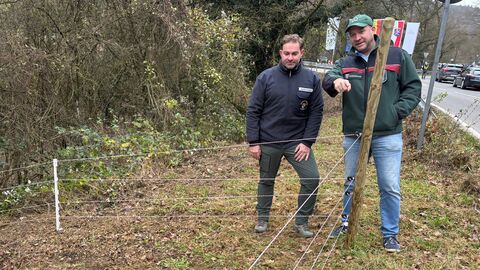 Staatsminister Ingmar Jung Landrat Sandro Zehner beim Zaunbau