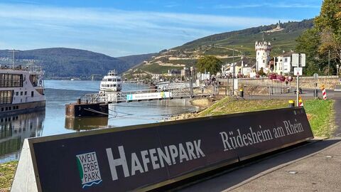 Hafenpark Rüdesheim Hafen mit Booten im Hintergund Gebirge.